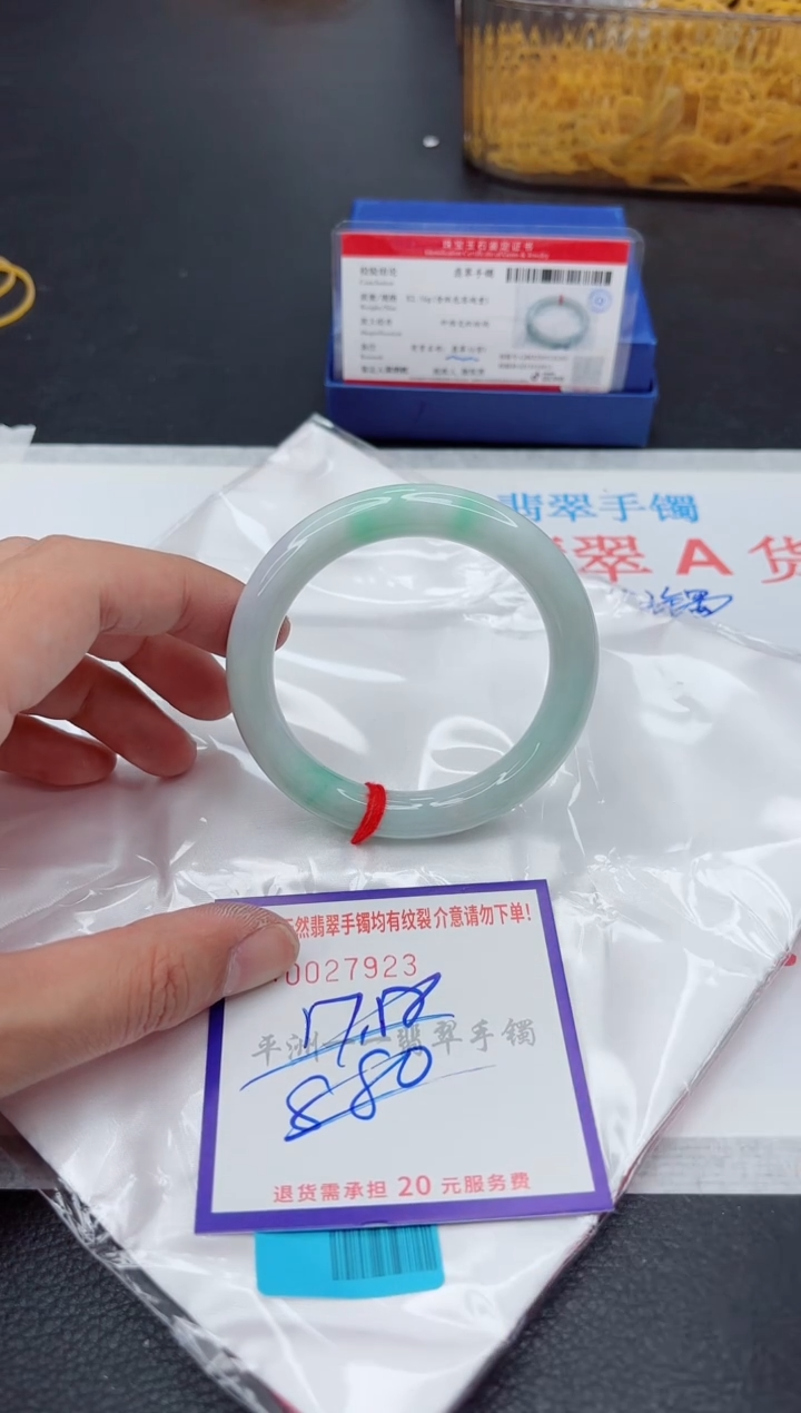 未镶嵌手镯翡翠1