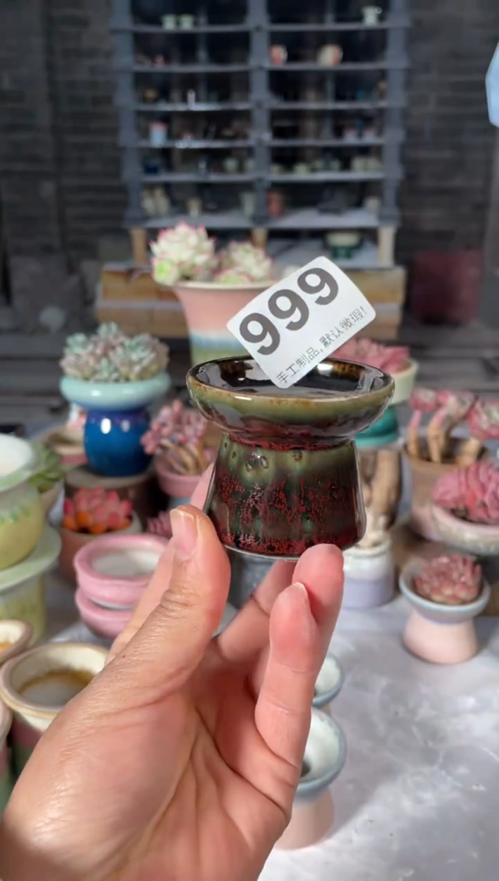 瓷片999小芳直播编号