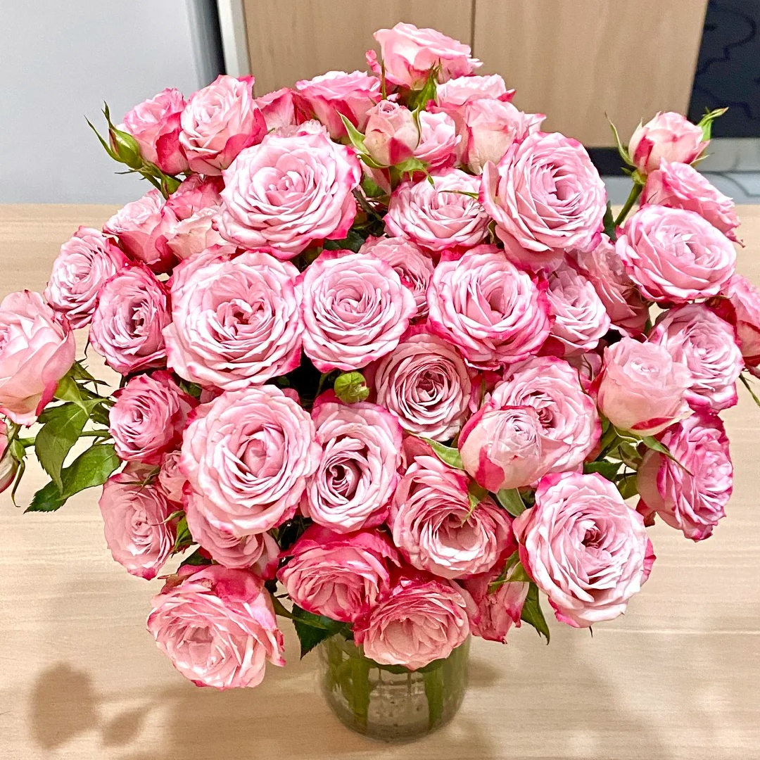 【源头优选老六】花花公子多头玫瑰 任意2单升级快递发货不支持退款