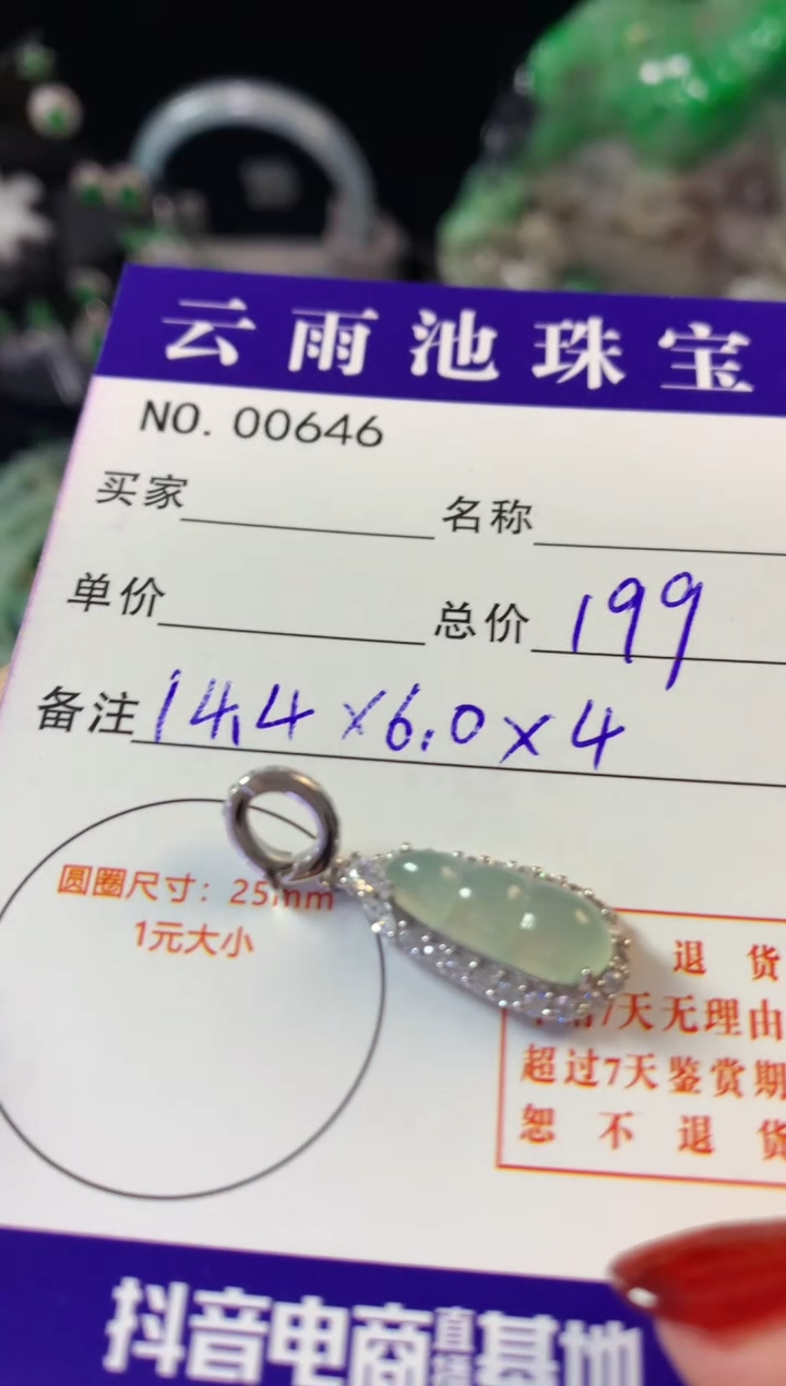 翡翠银S925镶嵌颈饰翡翠