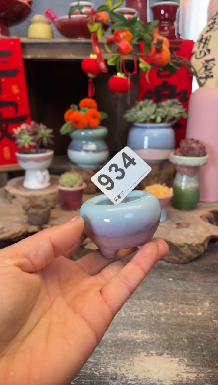 【闪购商品】摆件934知木小芳花盆