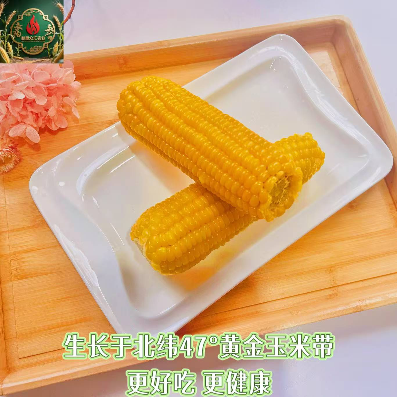 东北头茬黄糯玉米真空包装香甜软糯可代餐作早餐