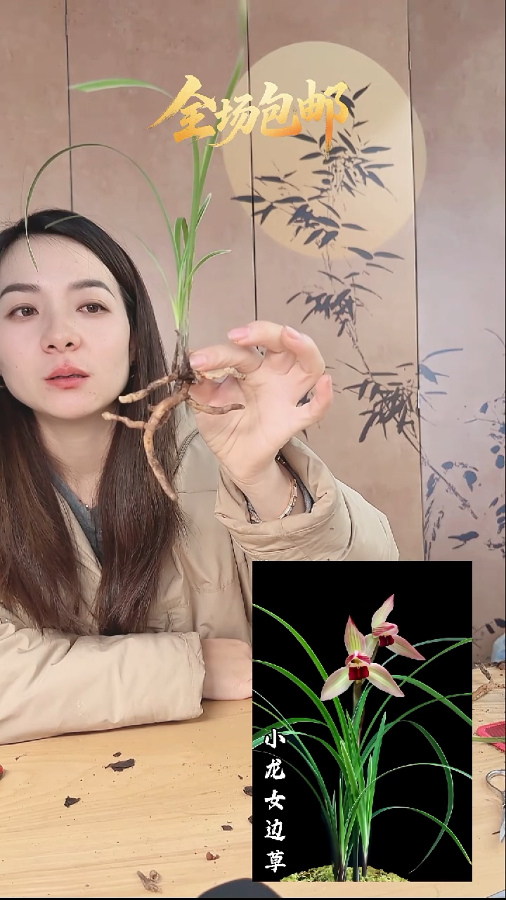 当前无花栽培后可以开花：滇梅
