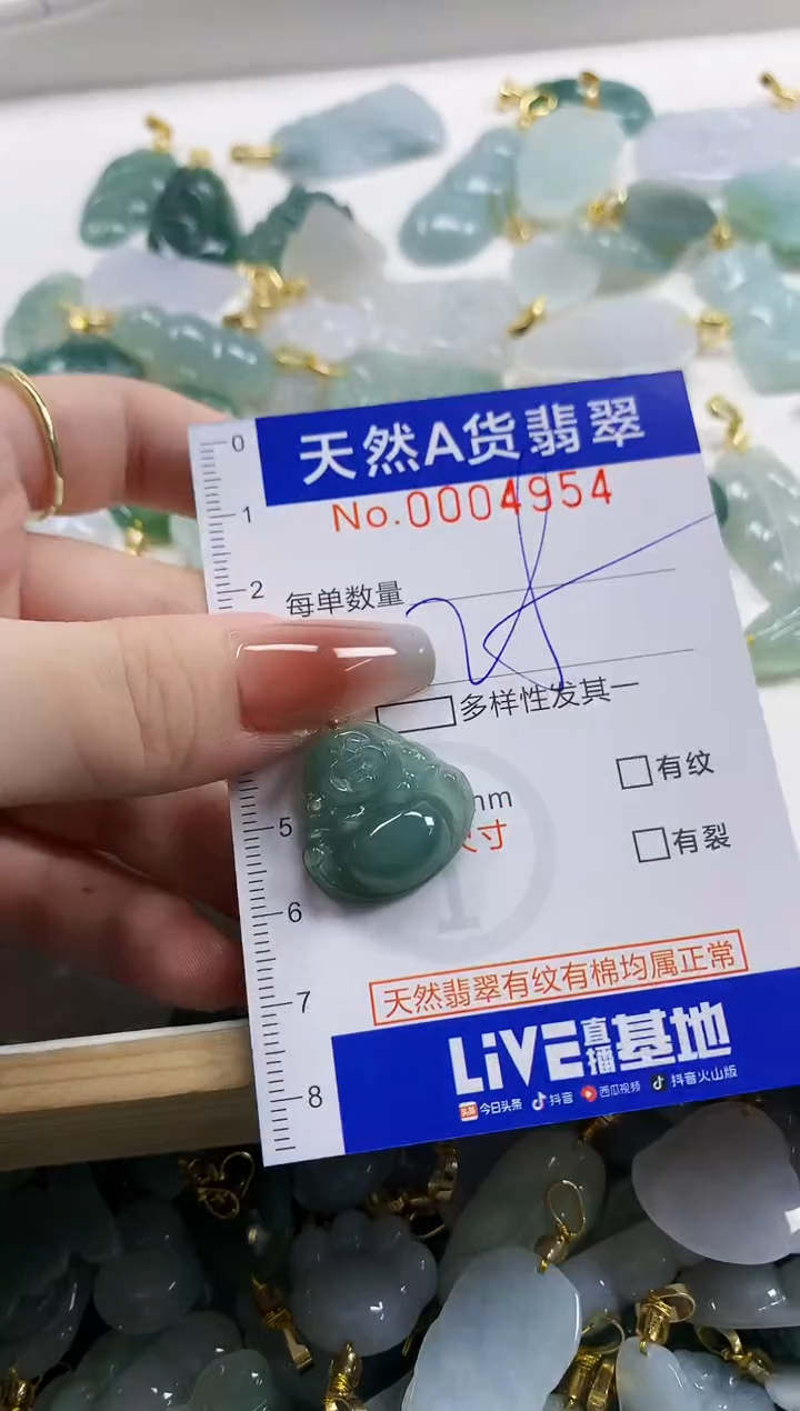 颈饰未镶嵌翡翠天然A货翡翠