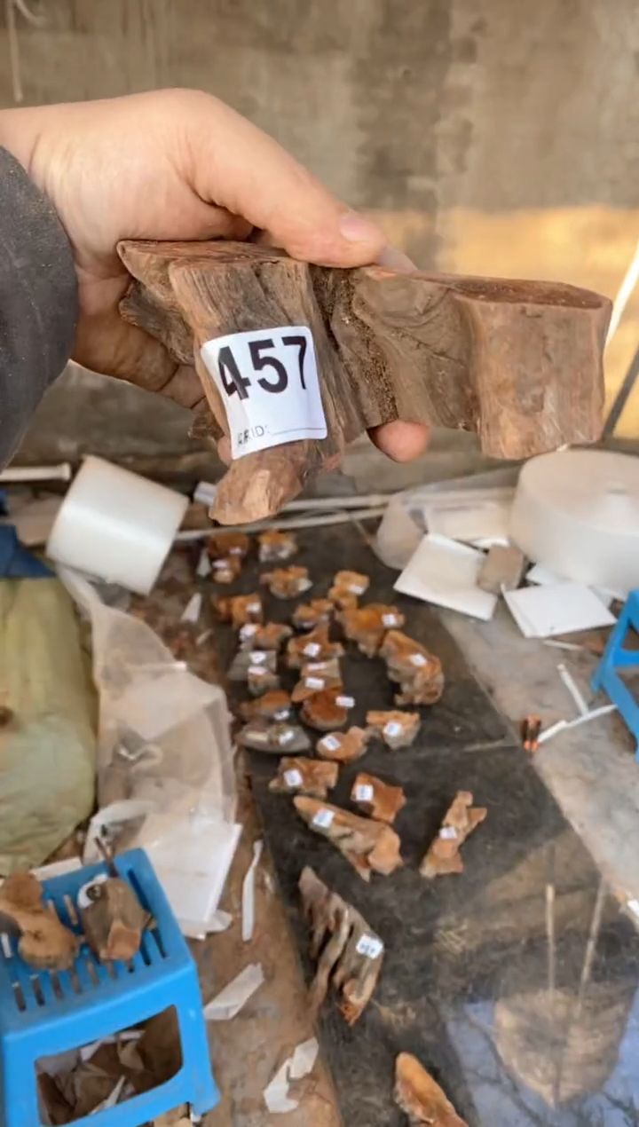 【闪购商品】柏木太行陈化崖柏（津诚林）切片