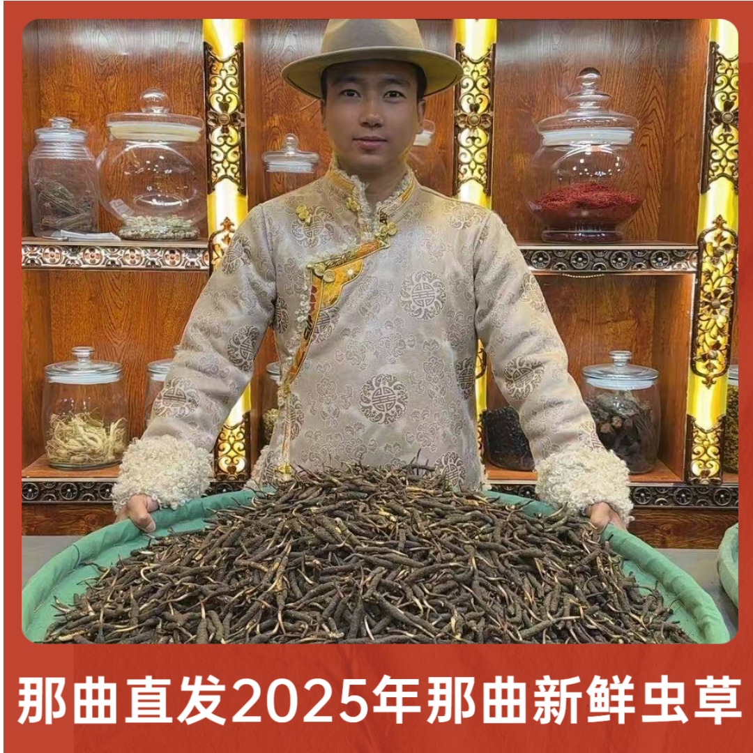 2025年西藏那曲比如头茬新鲜冬虫夏草 正宗鲜虫草 0.8克-1.0克/根