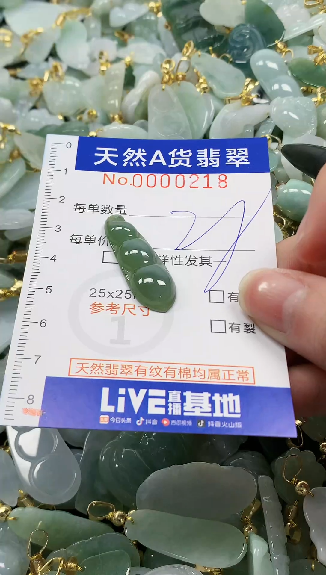 颈饰未镶嵌翡翠纯天然a货翡翠