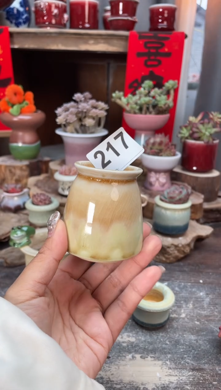 【闪购商品】摆件217知木小芳花盆