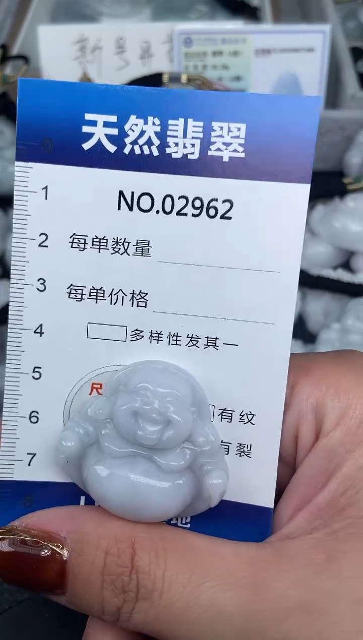 颈饰未镶嵌翡翠纯天然A货翡翠2962