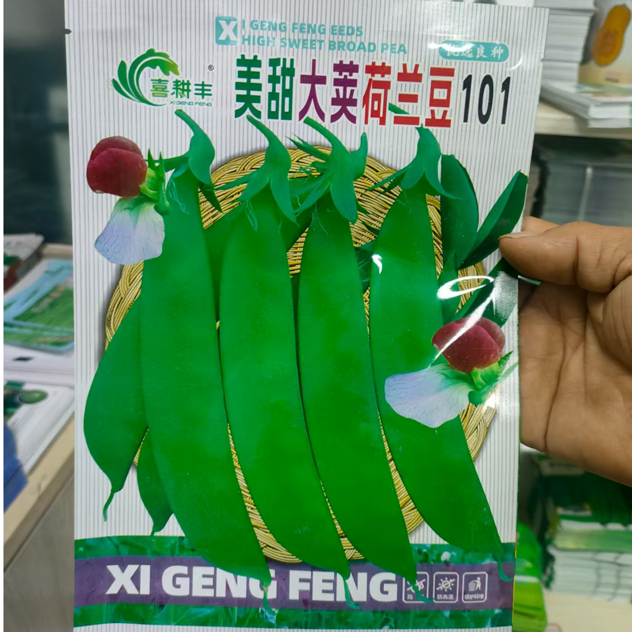 美甜荷兰豆大荚玻璃豆秋冬种高产品种400g装