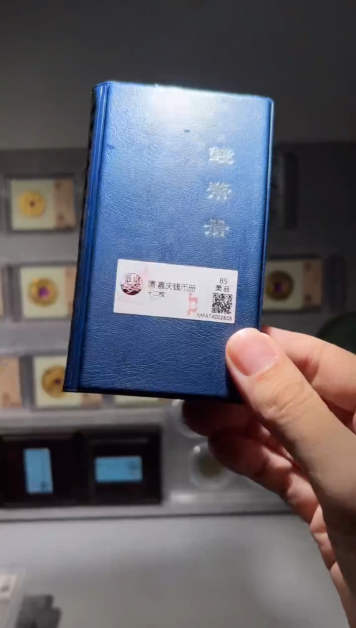 铜带评级嘉庆通宝钱币册共12枚