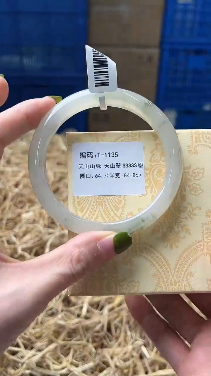 未镶嵌手镯石英质玉T1135