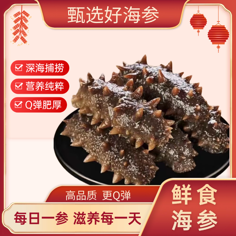 30根1份即食海参现称胖乎7-8公分辽刺参无冰顺丰包邮冷冻保存