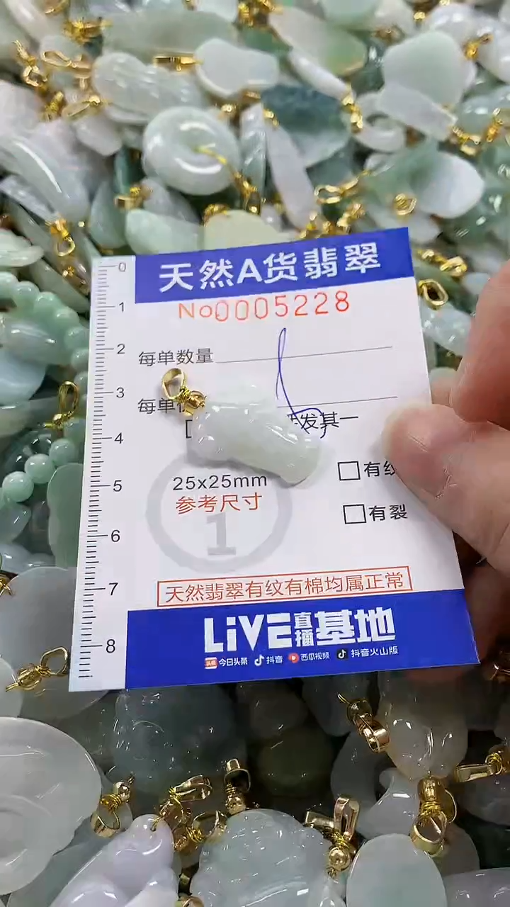颈饰未镶嵌翡翠纯天然货翡翠