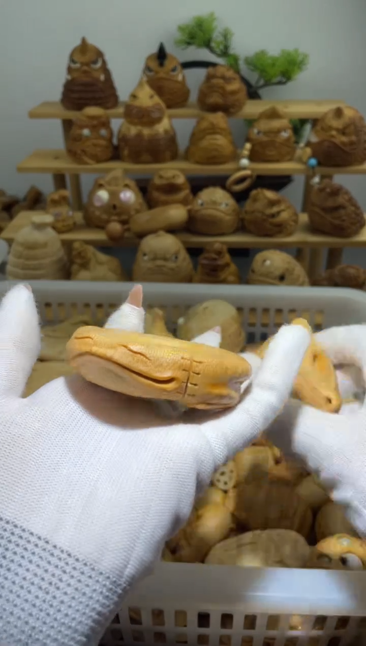 竹楠**3扁蟾111111111111111