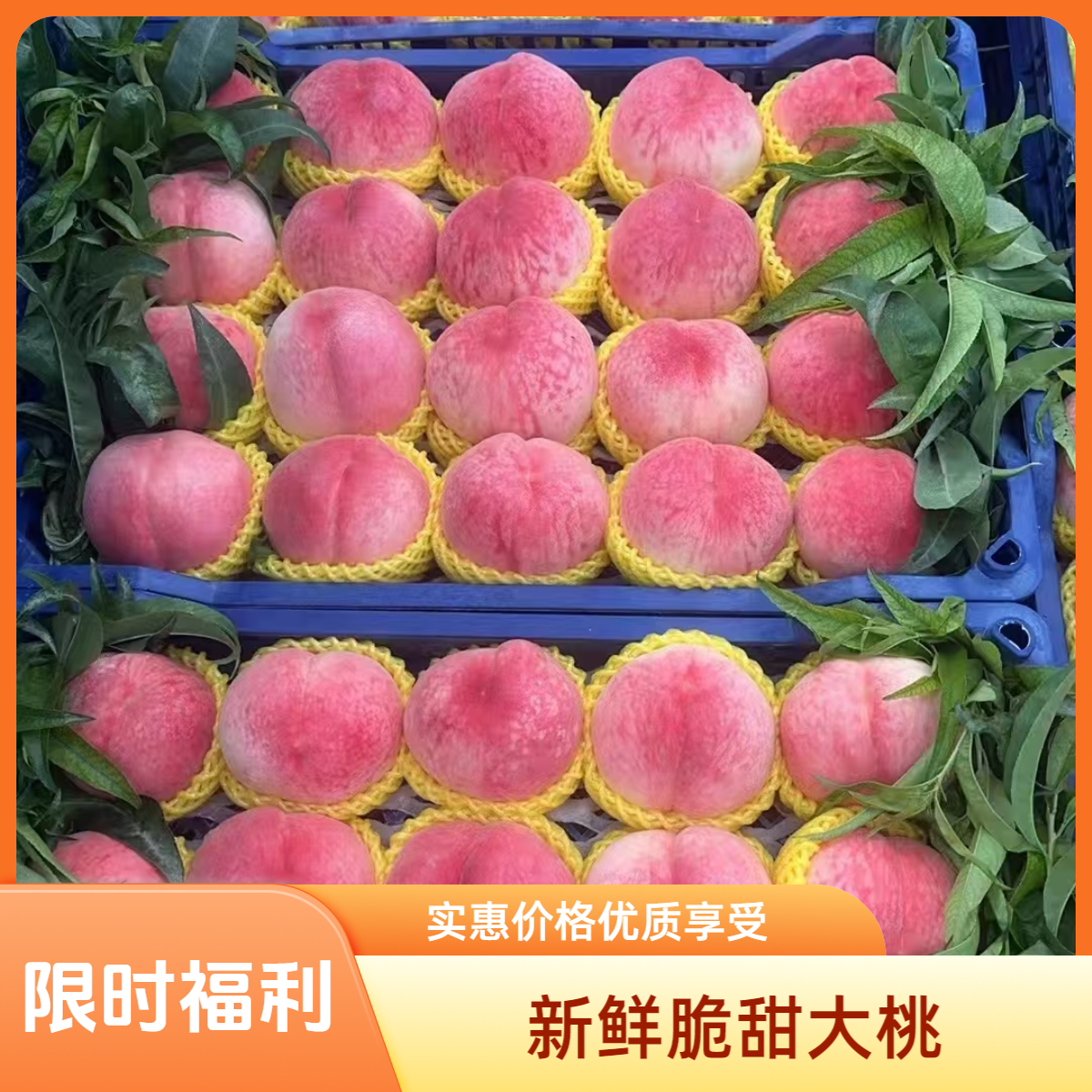 平谷久保大桃 限时福利升级发货！脆甜可口桃味浓郁当天现摘新鲜发货京东顺丰包邮北京市