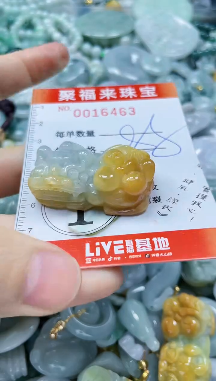 【闪购商品】翡翠颈饰未镶嵌闪购0016463
