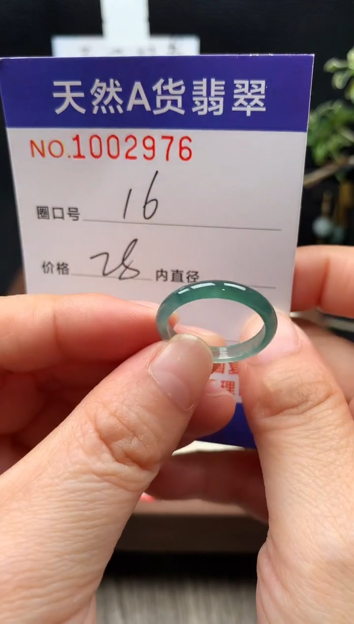 未镶嵌戒指翡翠16#