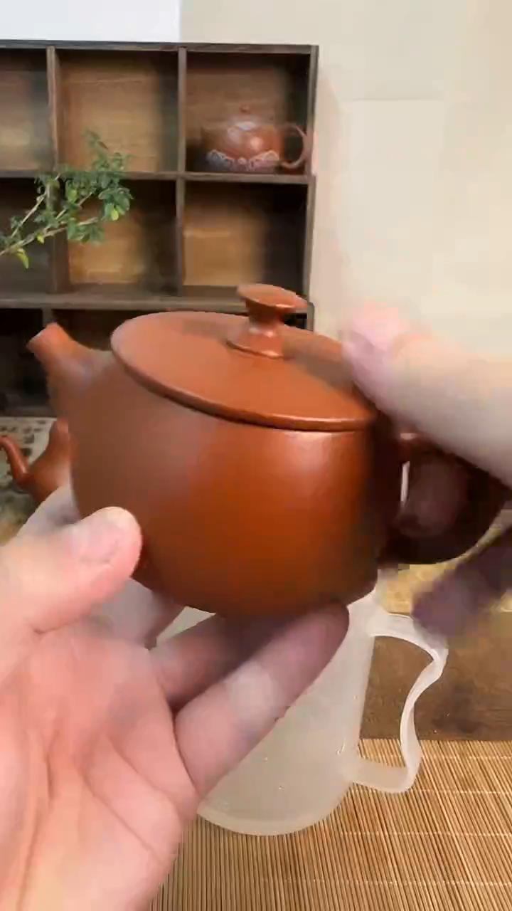 【闪购商品】紫砂茶壶111111111111111