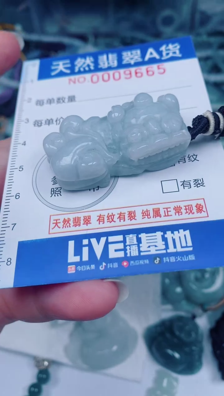 颈饰未镶嵌翡翠00009665