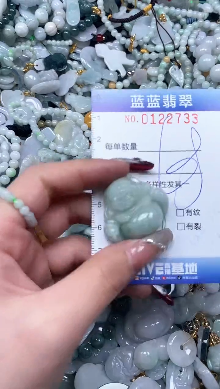 【闪购商品】翡翠颈饰未镶嵌闪购0122733