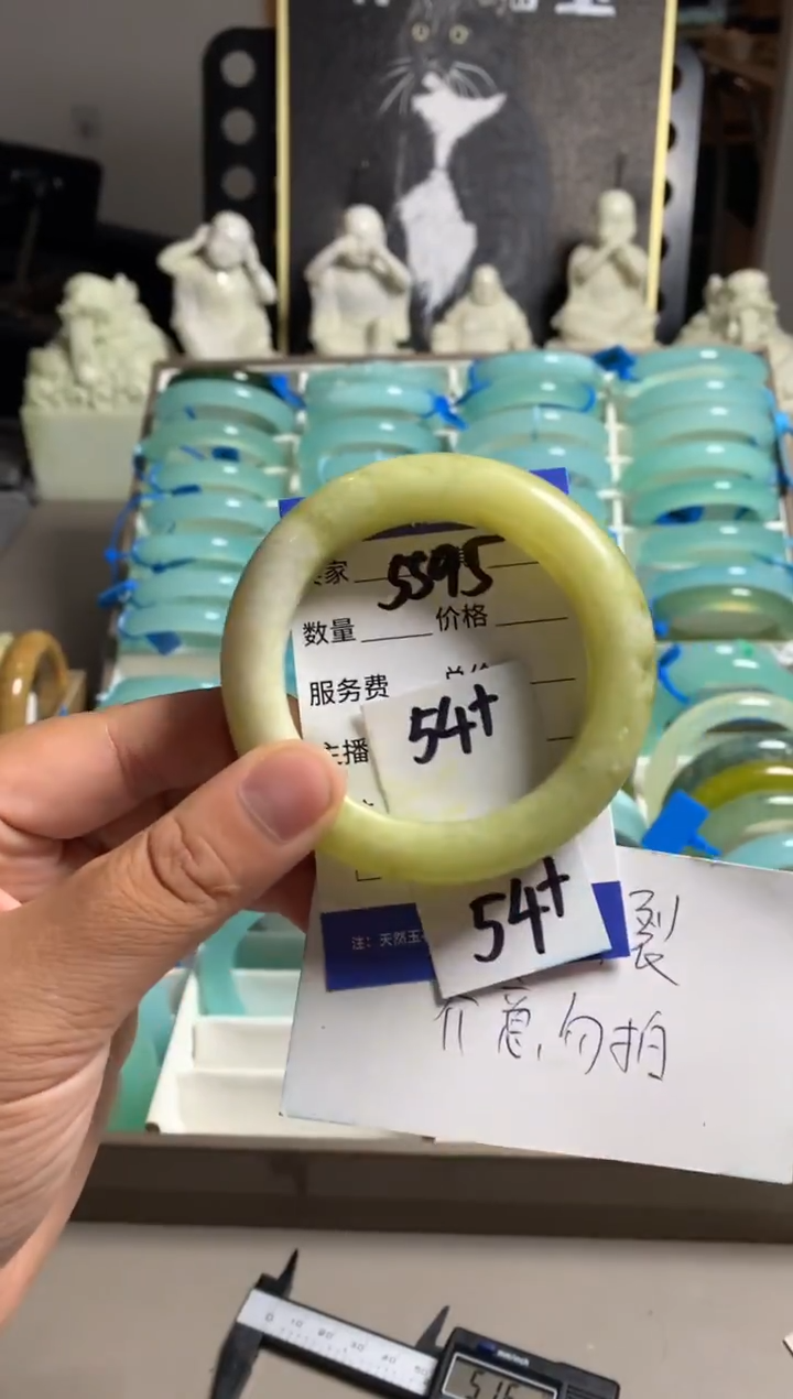 蛇纹石玉未镶嵌手镯5595
