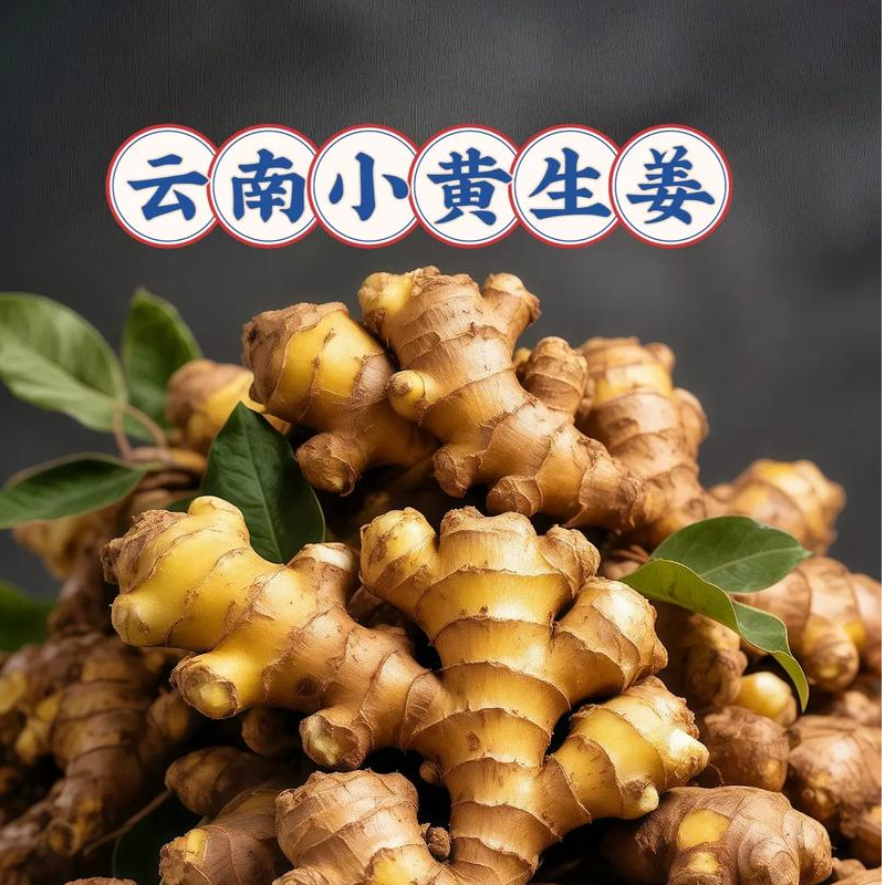 【村知舒】精选一级特级小黄姜正宗云南小黄姜新鲜现挖生姜调料