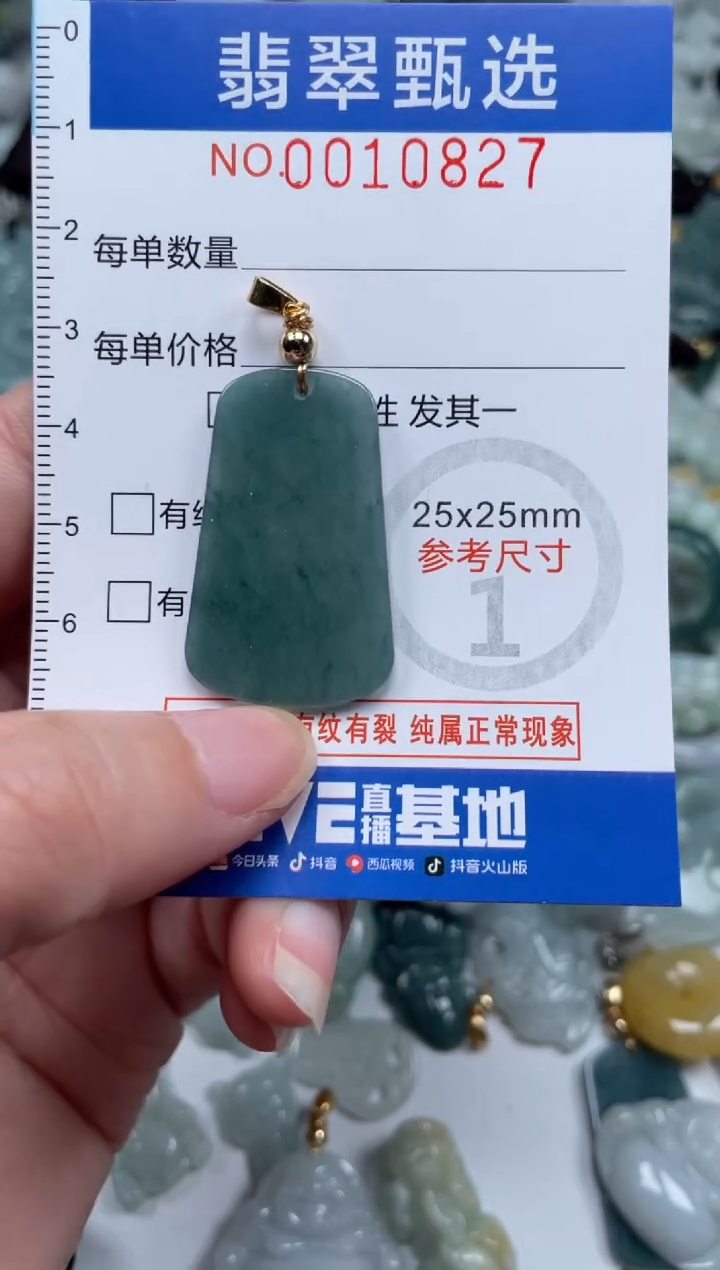 颈饰未镶嵌翡翠10827