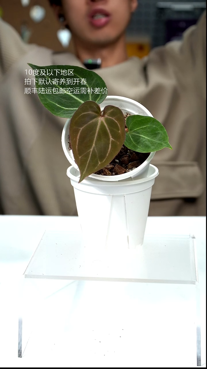 完全开放032-HUKOS