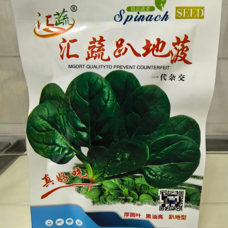 菠菜汇蔬趴地菠种子厚圆叶黑油亮趴地型优选菠菜蔬菜种子