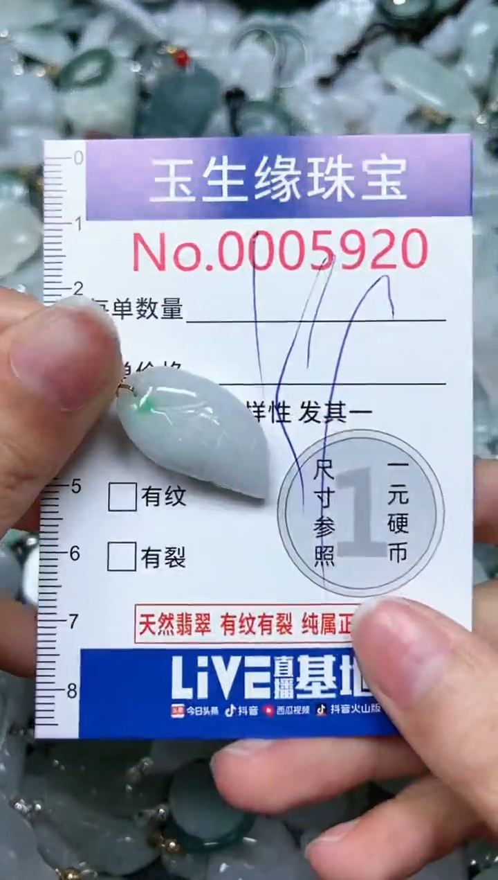 【闪购商品】翡翠颈饰未镶嵌闪购00005920