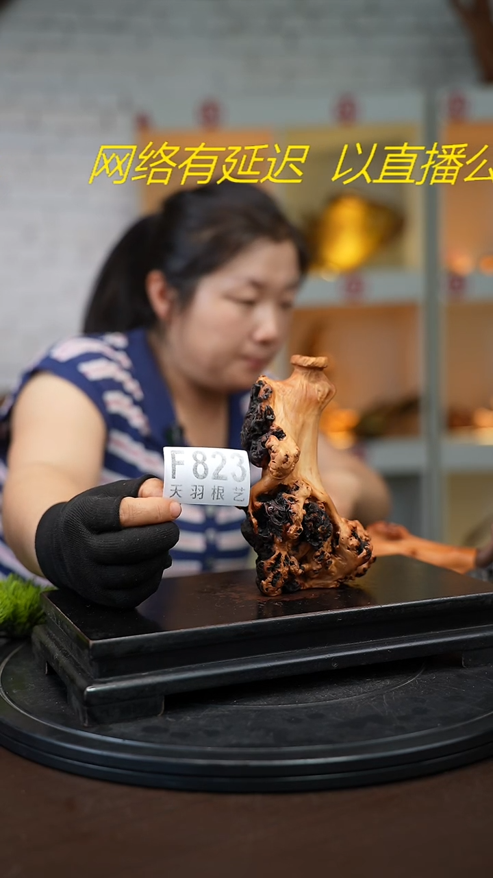 木云南黑果木花瓶