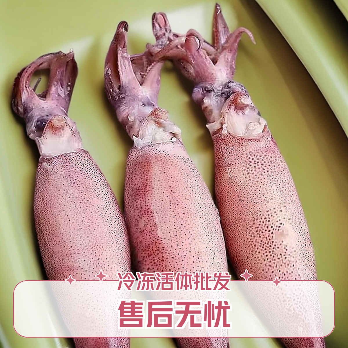 全籽籽乌满籽乌鱼海兔笔管鱼墨鱼鱿鱼八爪鱼海鱼活体冷冻海鲜批发