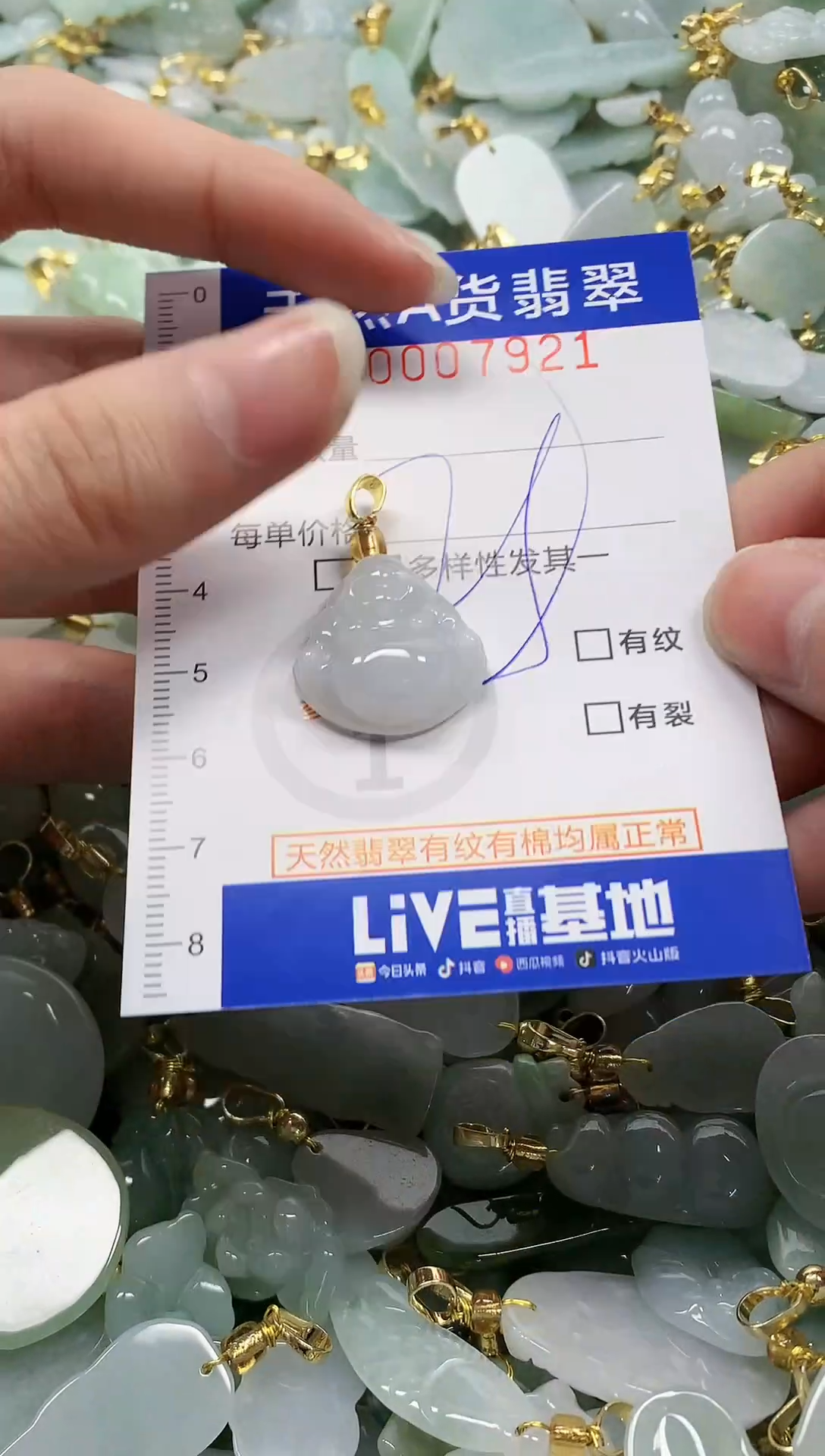 颈饰未镶嵌翡翠纯天然a货翡翠