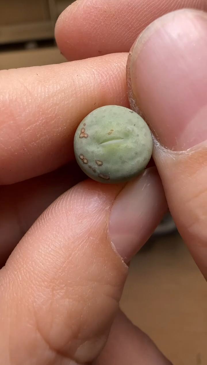 【闪购商品】14-57