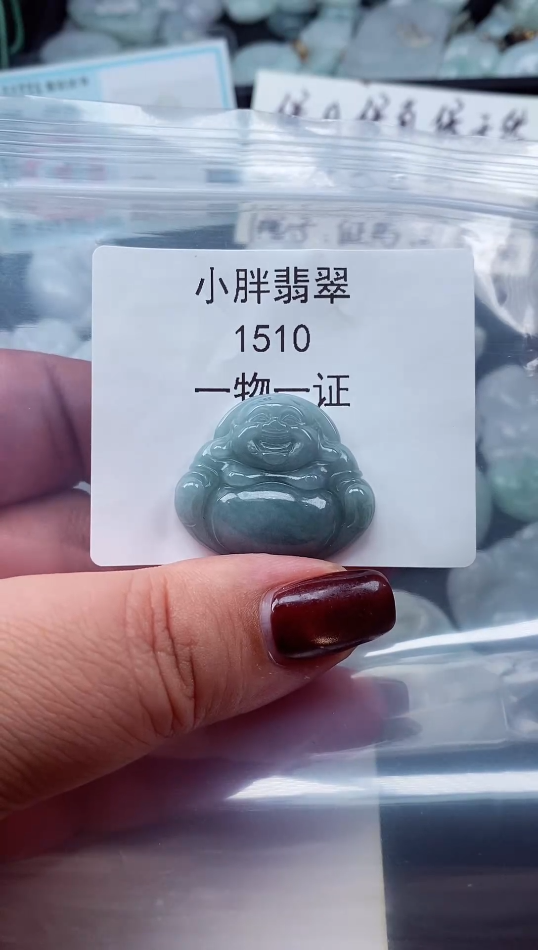 颈饰未镶嵌翡翠缅甸天然A货翡翠1510