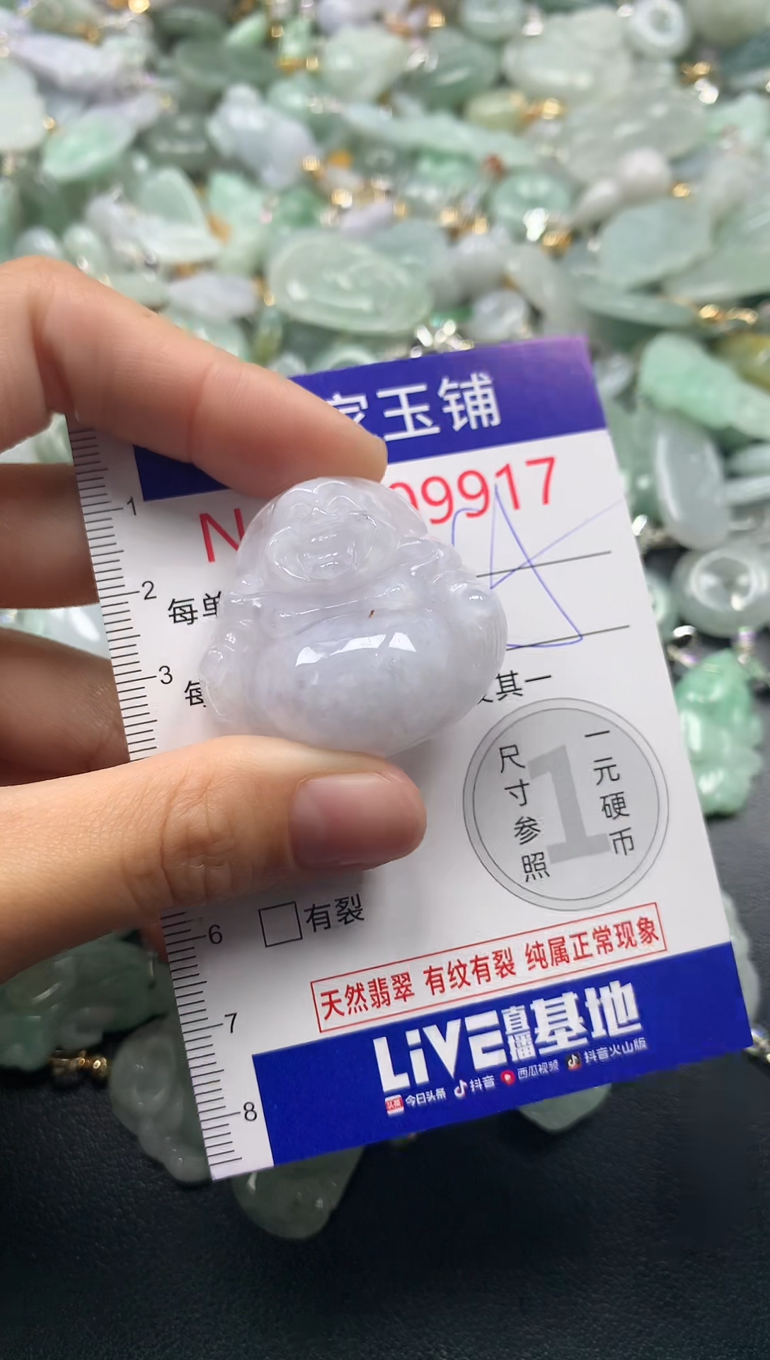 颈饰未镶嵌翡翠9917