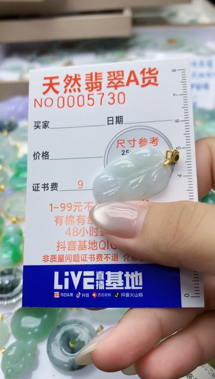 颈饰未镶嵌翡翠天然翡翠A货