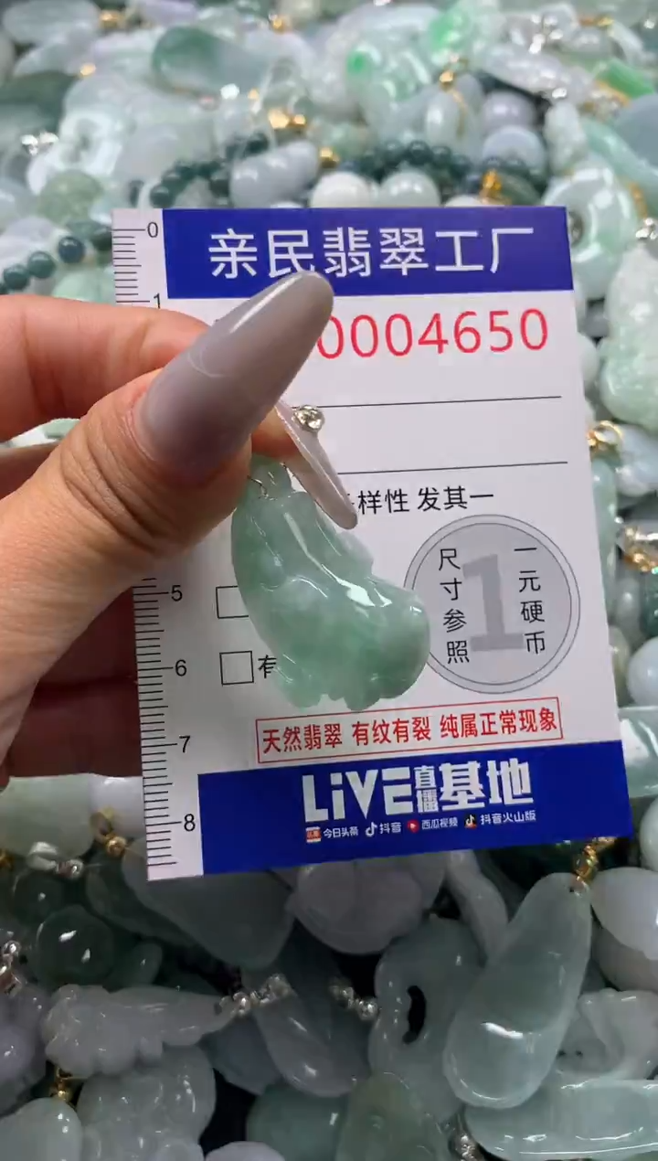 颈饰未镶嵌翡翠4650