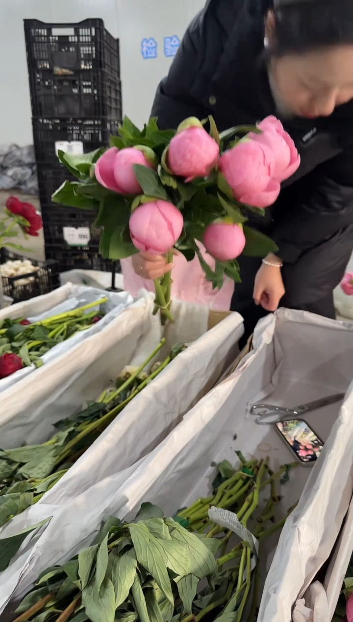 红****驴 定向 红鲤鱼与绿鲤鱼与驴