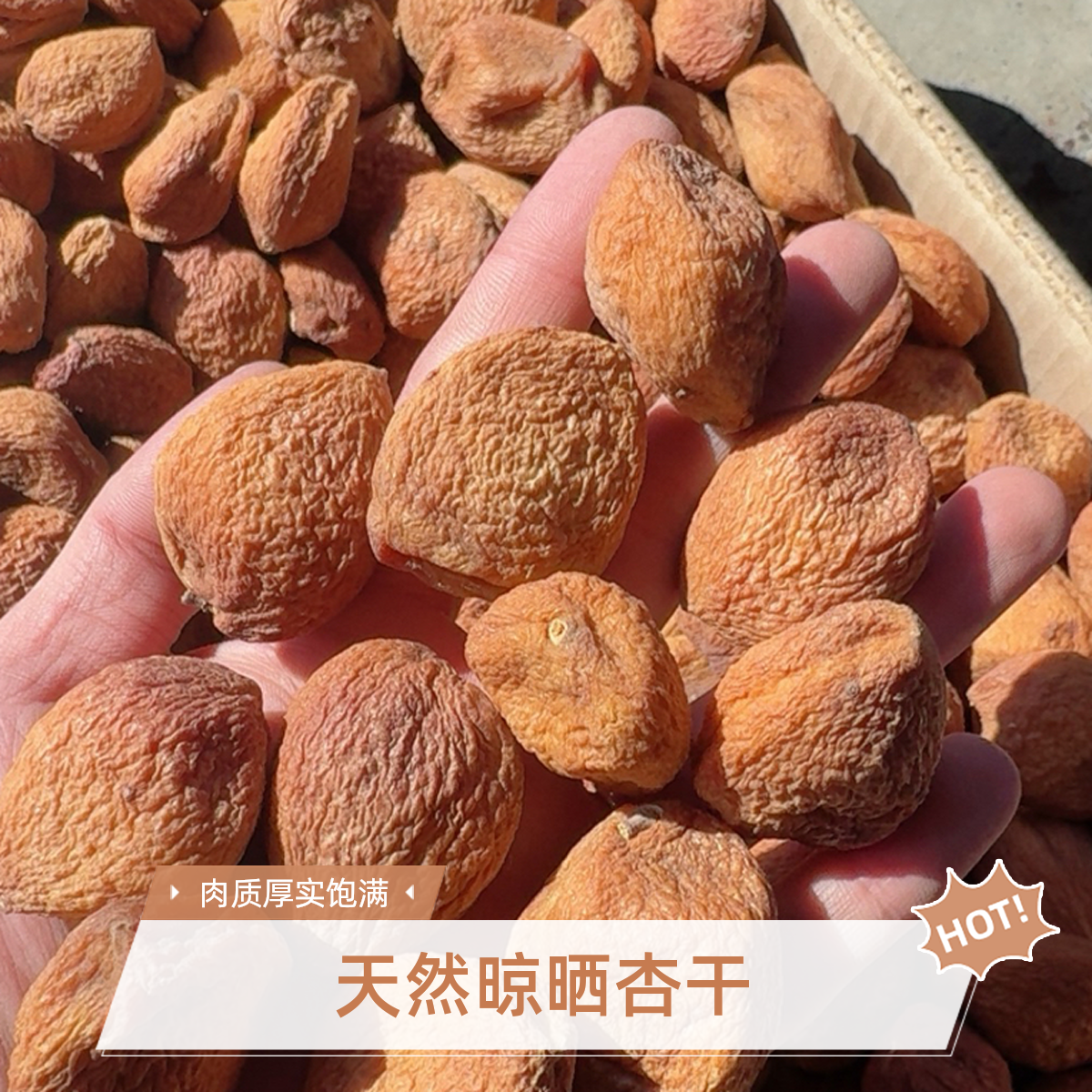 新疆特产大丑杏干天然原味即食营养树上自然风干喀什杏干