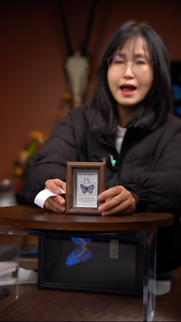 N357  小灰蝶 冰箱贴 木质框