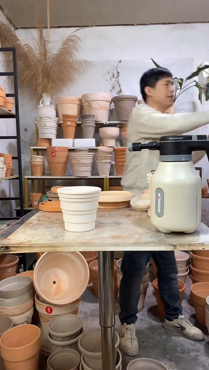 福利13*12白色竹节 1盆无托