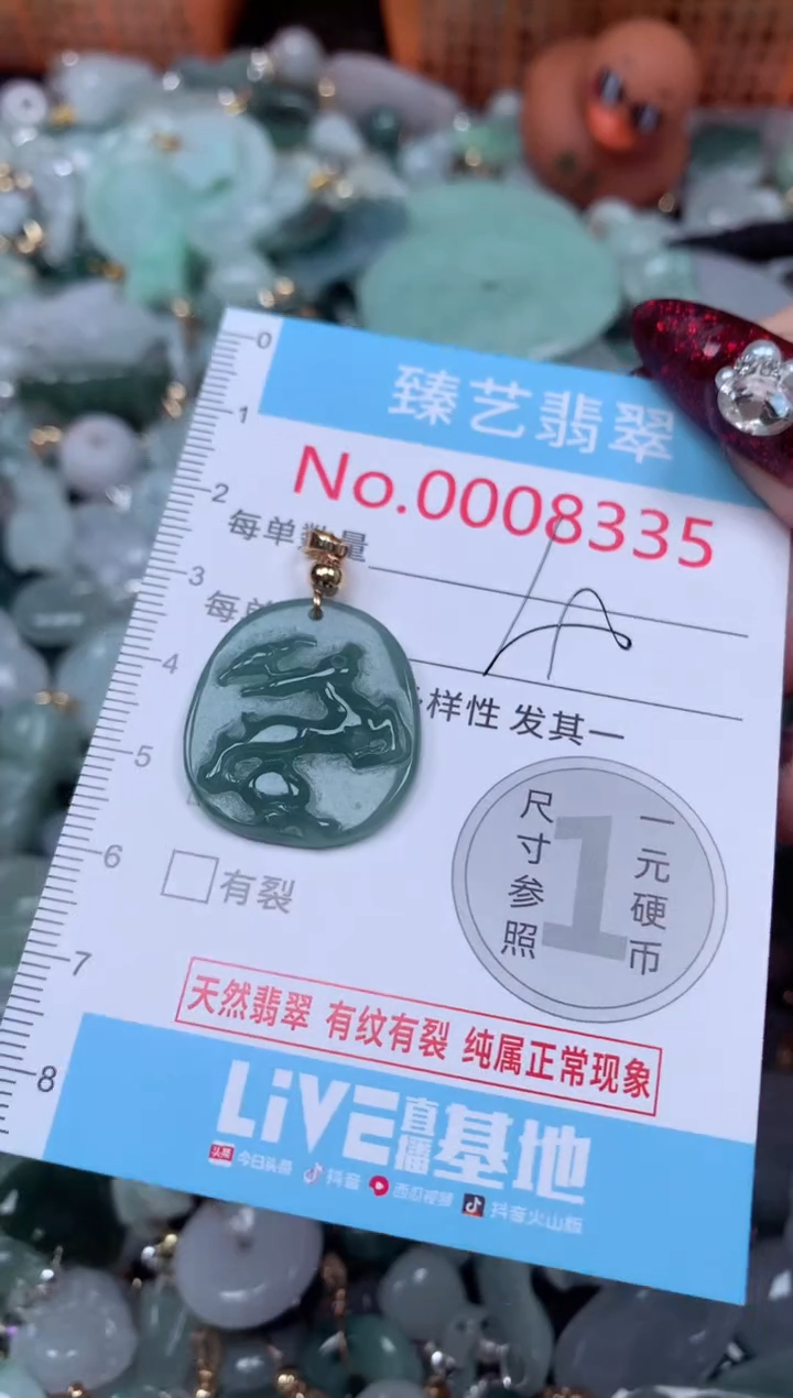 颈饰未镶嵌翡翠8335