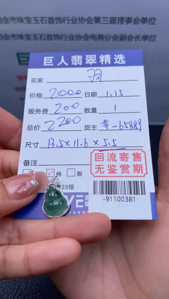 【闪购商品】翡翠颈饰18K金镶嵌-91100381