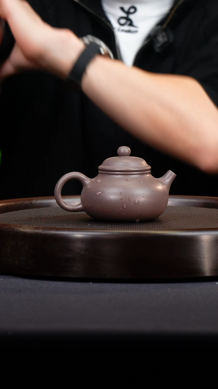 茶壶紫砂F原矿高端紫砂壶