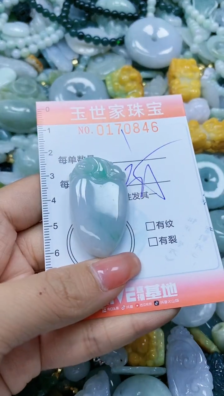 【闪购商品】翡翠颈饰未镶嵌闪购0170846