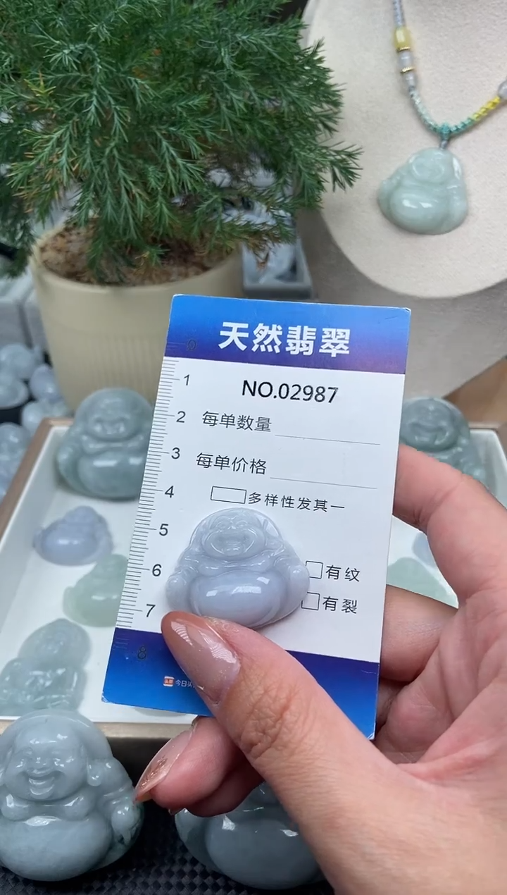 颈饰未镶嵌翡翠纯天然A货翡翠2987