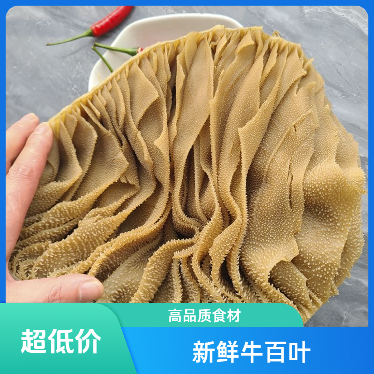 3斤新鲜牛百叶京东冷链包邮到家