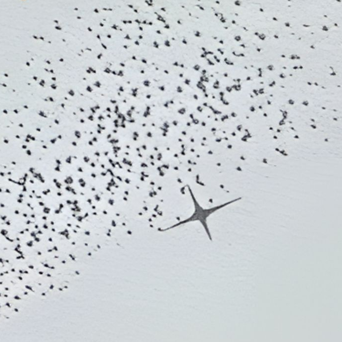 橘彩星光女士淡香氛7.5mlQ版香薰